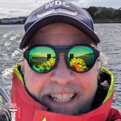 Dolphinchaz