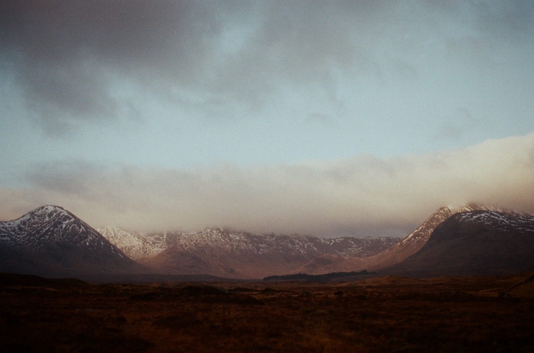 Header Image