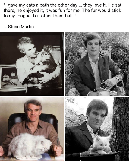 (Steve Martin with cats)  "I gave my cats a bath the other day ... they love it. He sat there, he enjoyed it, it was fun for me. The fur would stick to my tongue, but other than that..." - Steve Martin