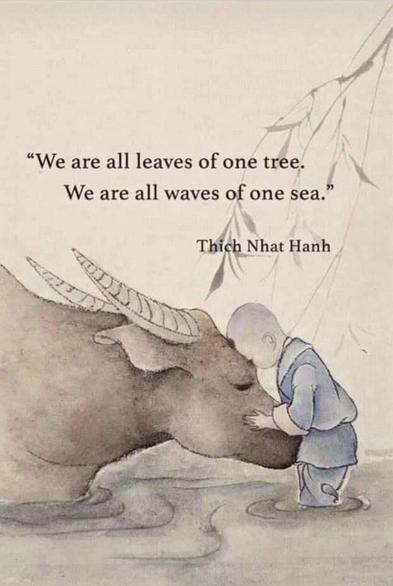 We are all leaves of one tree. We are all waves of one sea." ~ Thich Nhat Hanh