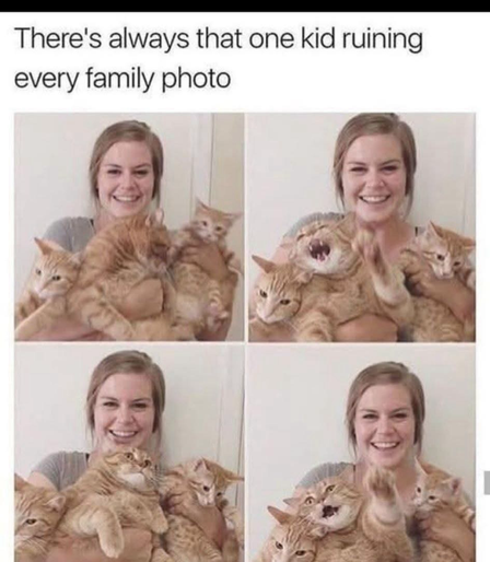 (Woman getting her picture taken holding 3 orange cats - one of them is having none of it) There's always that one kid ruining every family photo