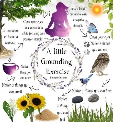 A little
Grounding
Exercise…

Sit outdoors or facing a window

Close your eyes
Take a breath in while focusing on a positive thought.

Take a breath out and release
a negative thought.

Open your eyes
• Notice 5 things you can see.

Notice 4 things you can hear.

Notice
3 things you can feel.

Notice a things you can smell.

Notice thing you can taste.
