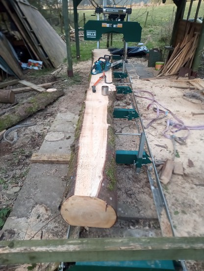 A massive log, already sawn flat on top and bottom sides, lying on the sawmill bed. My tea mug, my cant hook and an electric chainsaw lie on the top of the log.