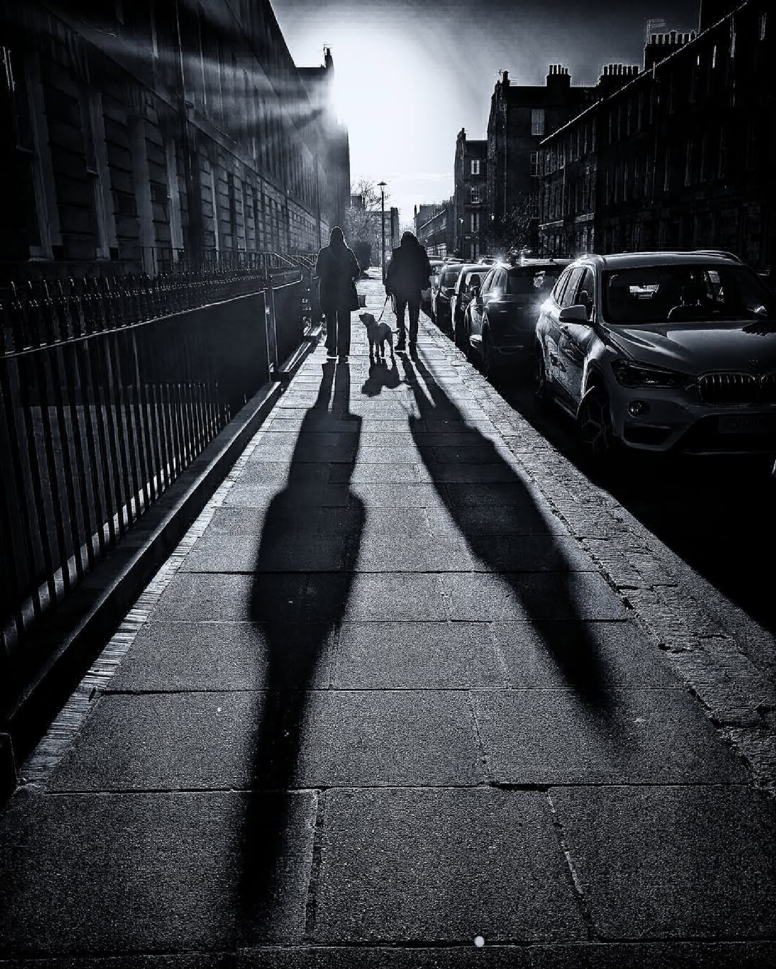 Two long shadows walk a dog Two long shadows walk a dog
