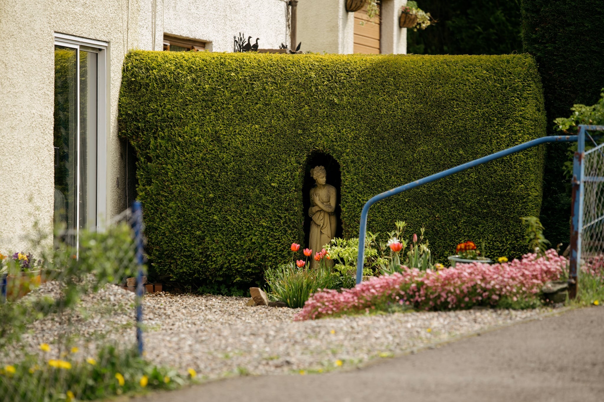 A neatly trimmed hedge with a small niche carved into it, sheltering a stone statue of a woman. Tulips and pink flowers bloom at the hedge base beside a pebbled path.